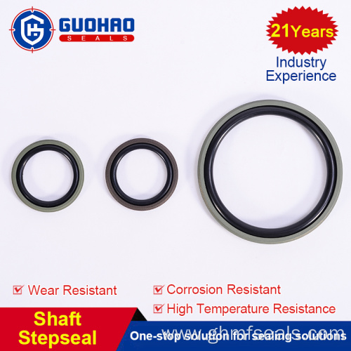 High Quality Custom O-Ring Piston Seals